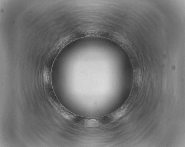 X0000059080287200510211549