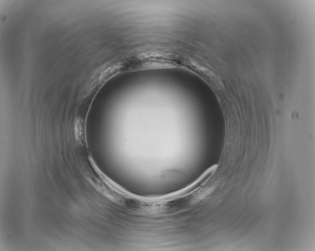 X0000059080288200510211549