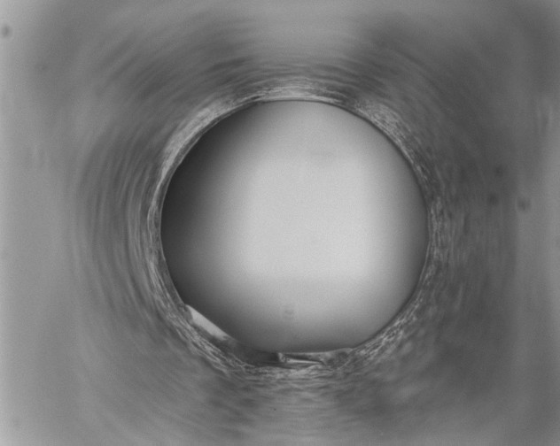 X0000059080289200510211549