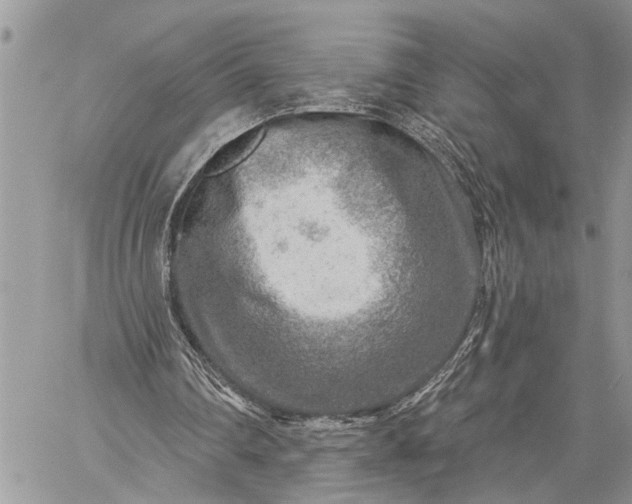 X0000059080290200510211549