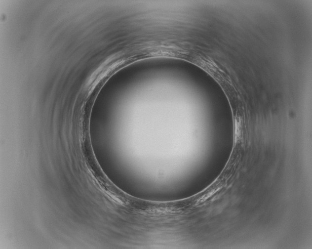 X0000059080291200510211549