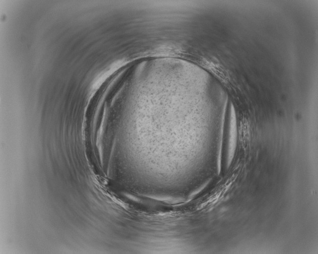 X0000059080292200510211549