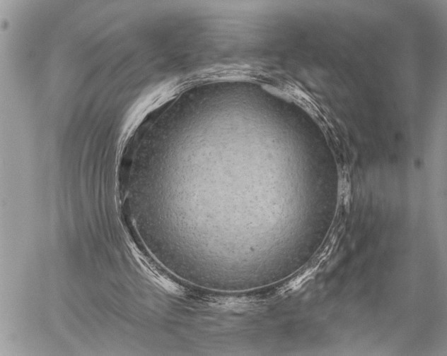 X0000059080293200510211549