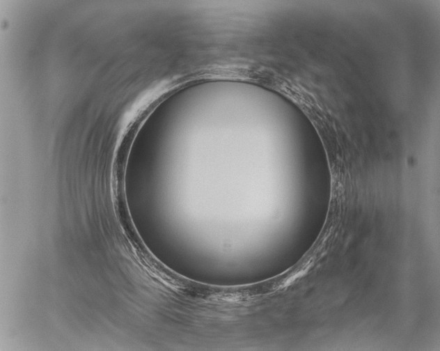 X0000059080294200510211549