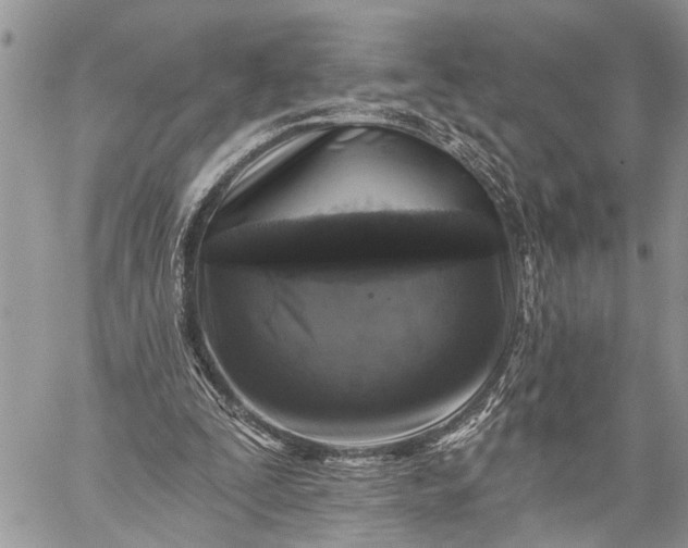 X0000059080295200510211549