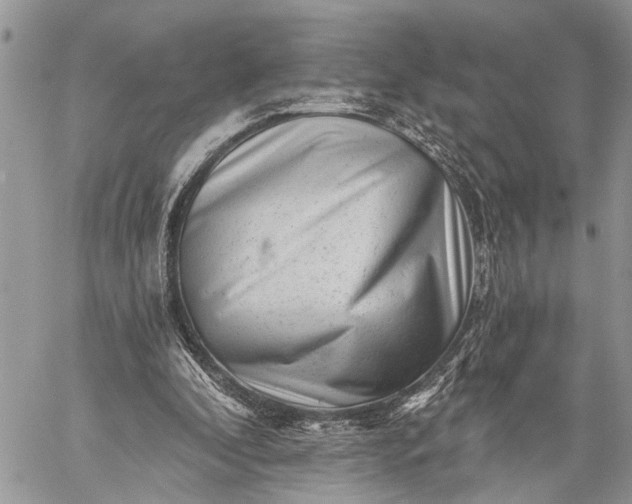 X0000059080296200510211549