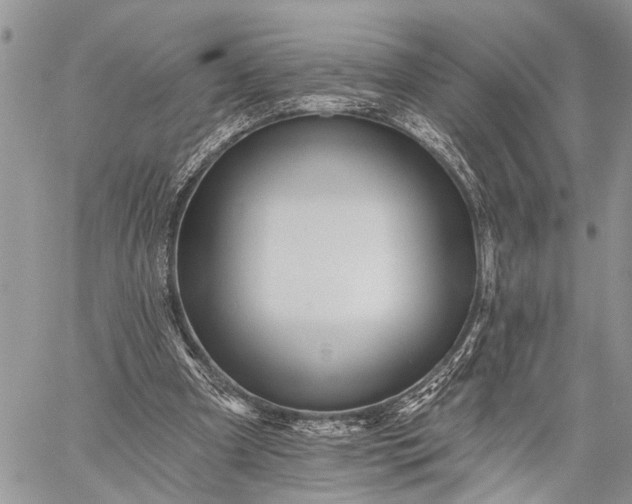 X0000059080297200510211549