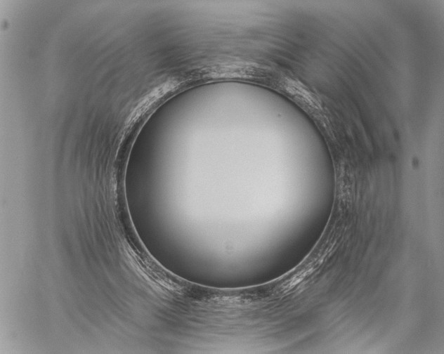 X0000059080298200510211549