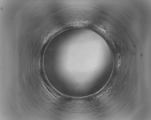 X0000059080299200510211549