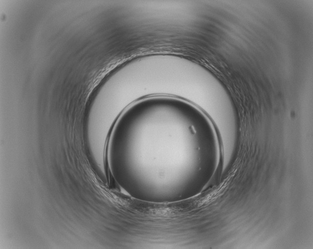 X0000059080301200510211549