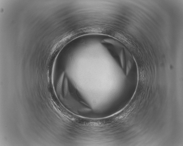 X0000059080302200510211548