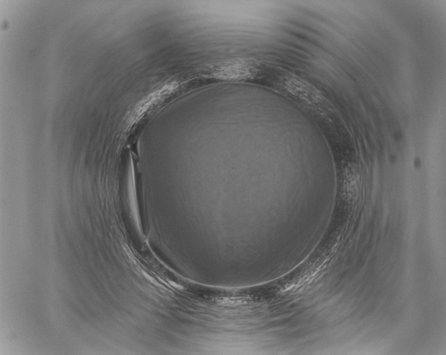 X0000059080303200510211548