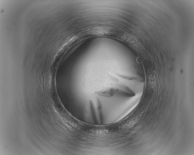 X0000059080304200510211548