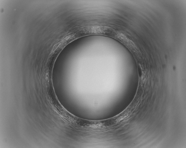 X0000059080306200510211548