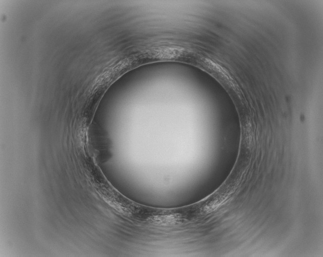 X0000059080307200510211548