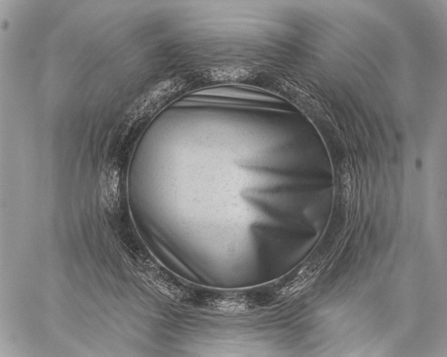 X0000059080308200510211548