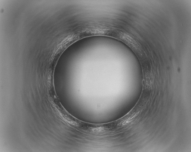 X0000059080309200510211548