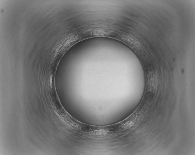 X0000059080310200510211548