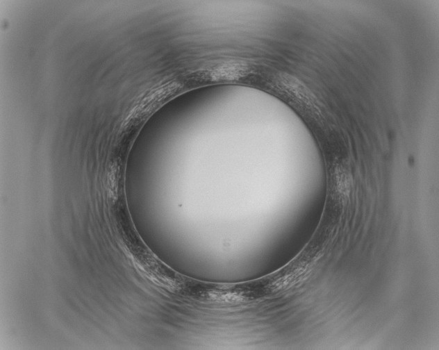 X0000059080311200510211548