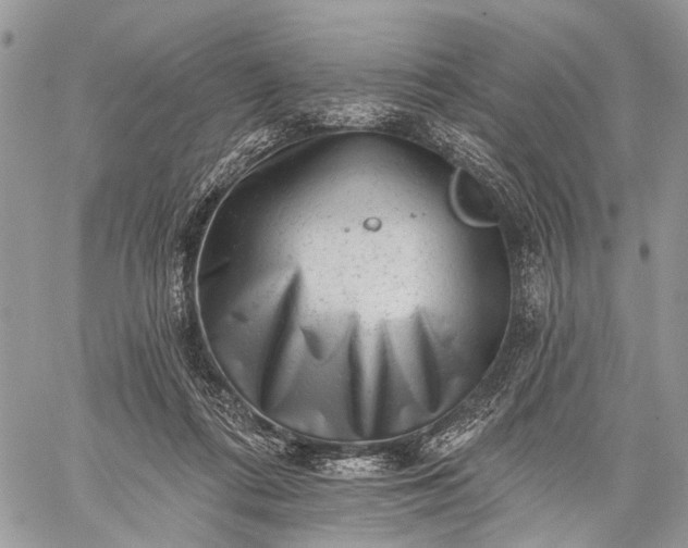 X0000059080312200510211548