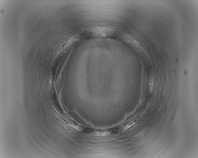 X0000059080314200510211548