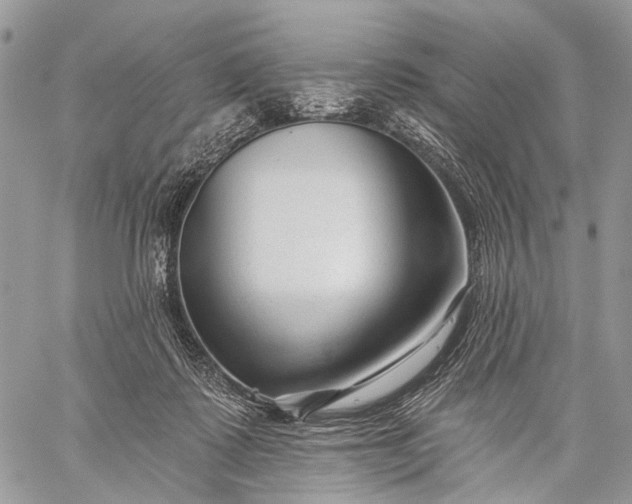 X0000059080315200510211548