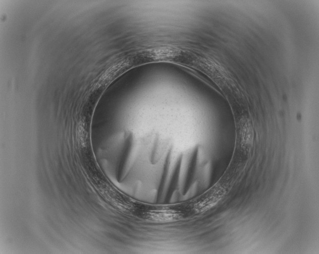 X0000059080316200510211548