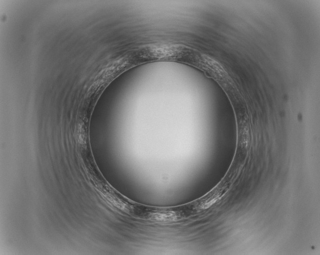 X0000059080317200510211548