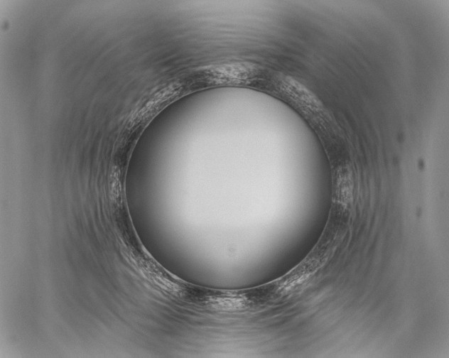 X0000059080318200510211548