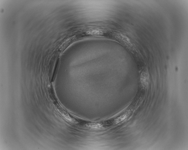 X0000059080322200510211548