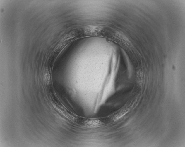 X0000059080324200510211548