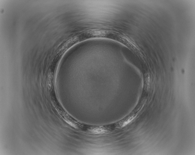 X0000059080325200510211548