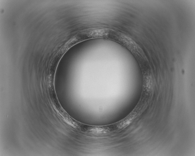 X0000059080326200510211548