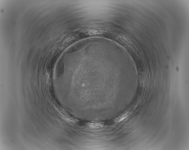 X0000059080327200510211548