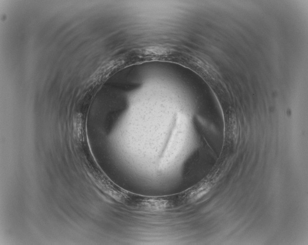 X0000059080328200510211548