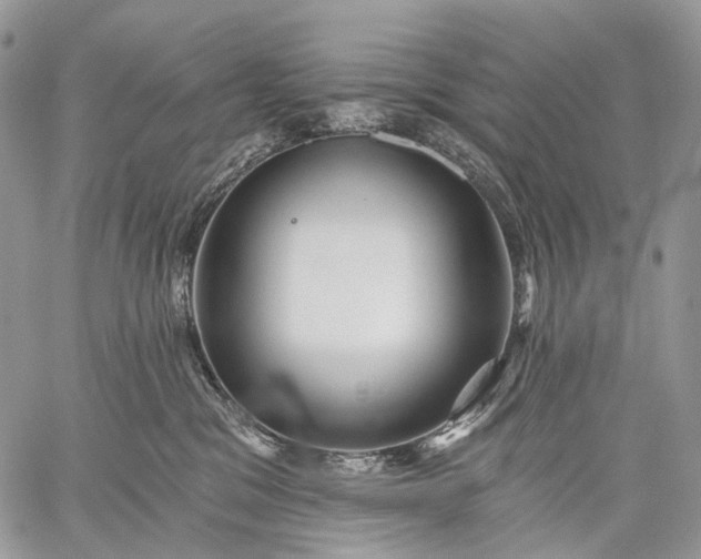 X0000059080329200510211548