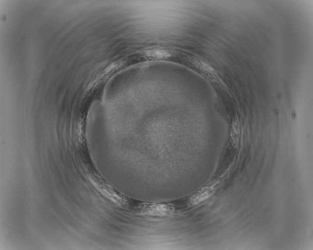 X0000059080330200510211548