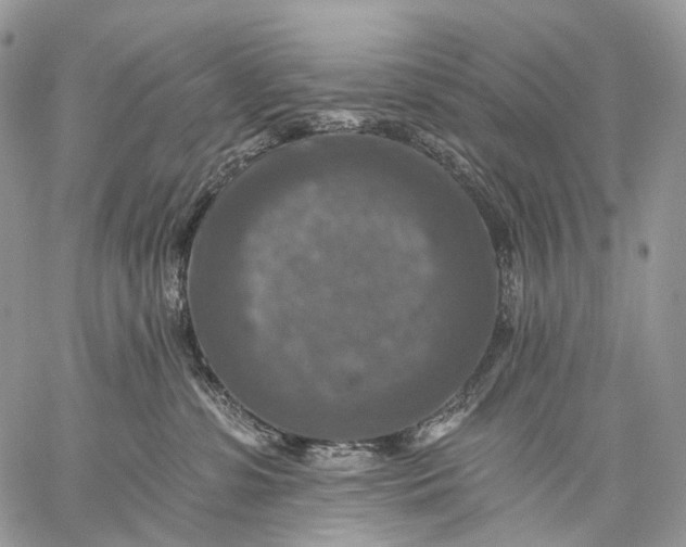 X0000059080331200510211548