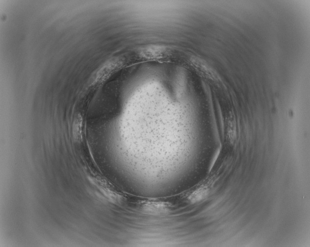 X0000059080332200510211548