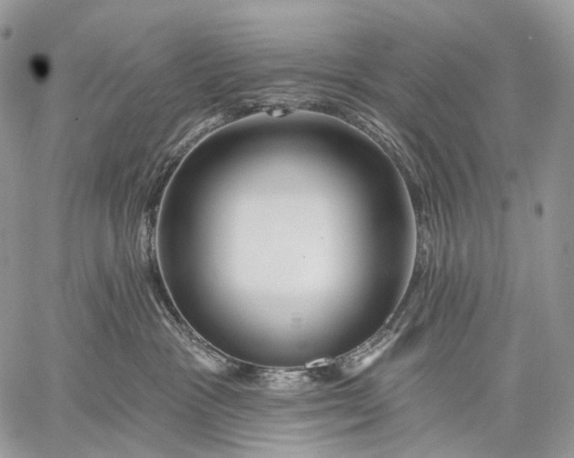 X0000059080333200510211548