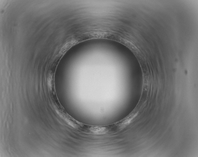 X0000059080334200510211548