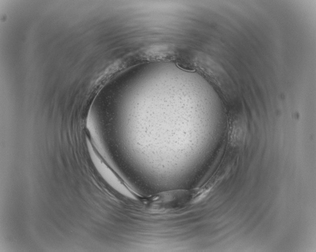 X0000059080335200510211548