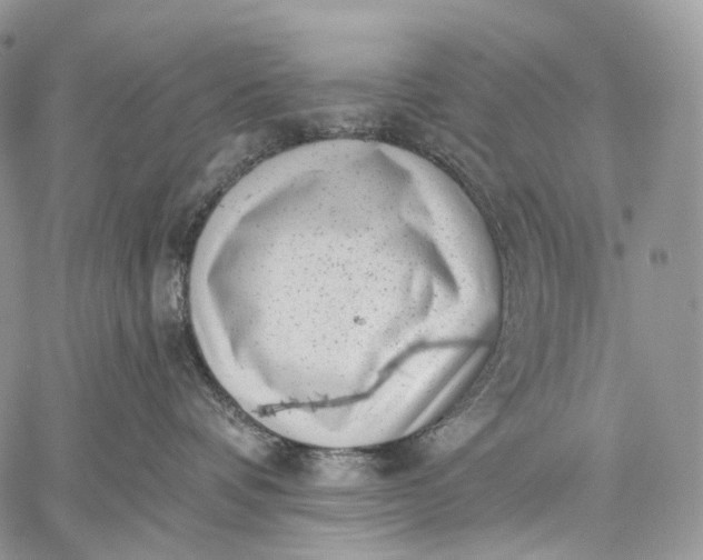 X0000059080336200510211548