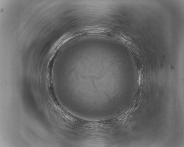 X0000059080339200510211547