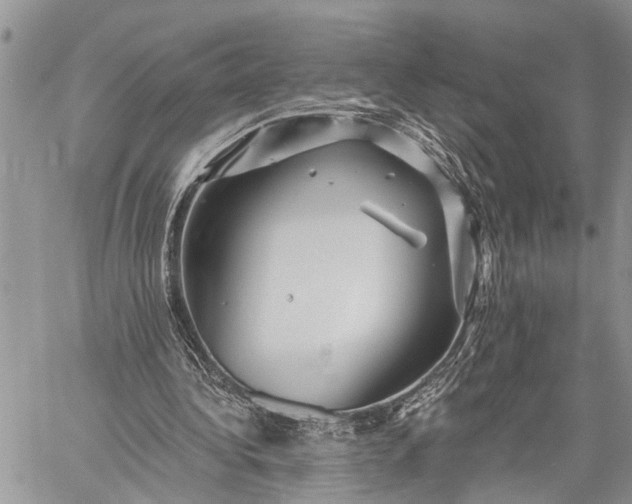 X0000059080340200510211547