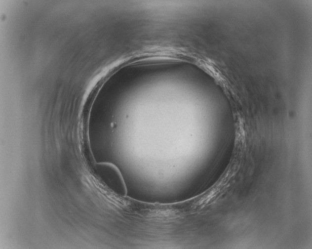 X0000059080342200510211547