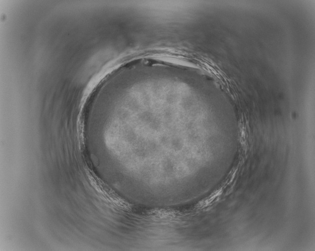 X0000059080343200510211547