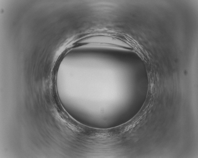 X0000059080344200510211547