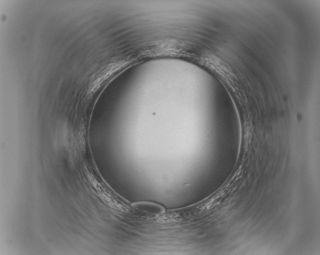 X0000059080345200510211547