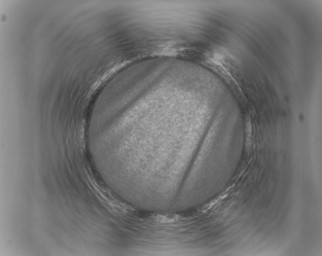 X0000059080346200510211547